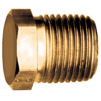 A brass plug with a 1/2 inch male pipe thread (MPT).