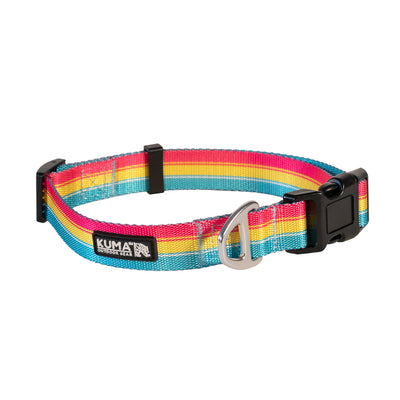 A retro-inspired colorful dog collar with a lightweight aluminum D-ring and snap buckle, made by KUMA.