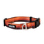 A retro-inspired colorful dog collar with a lightweight aluminum D-ring and snap buckle, made by KUMA.
