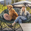 Woman with a dog sitting on a camping chair in a natural setting
