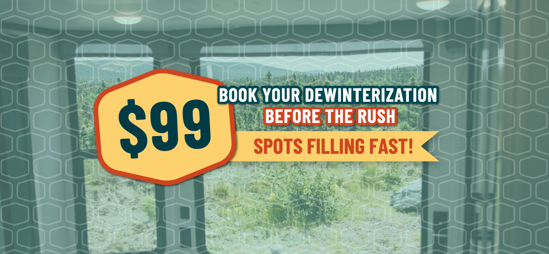 Advertisement for dewinterization service with a price tag and urgency text on a window background.