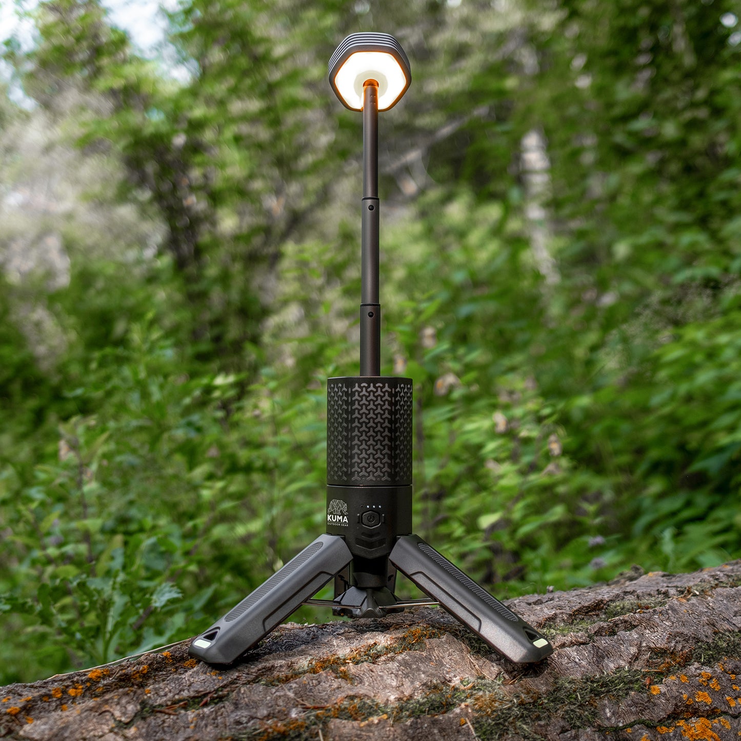 Portable light on a tripod with a forest background